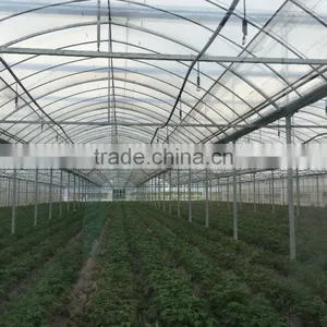 Agicultural Greenhouse thumbnail-4