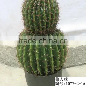 Artificial Outdoor and Indoor Cactus Tree and Plants for Decoration thumbnail-6