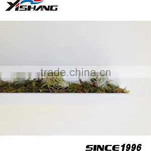 Wholesale Plant Pot Metal Living Room Wall Decor thumbnail-5