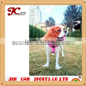 Factory Directly Sell Neoprene Dog Harness of CE Standard thumbnail-2