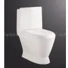 Toilet thumbnail-1