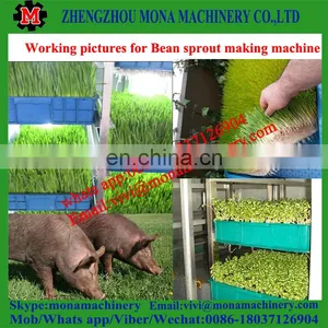 Commercial Mung Bean Sprout Growing Machine / Automatic Bean Sprout Machine Price thumbnail-4
