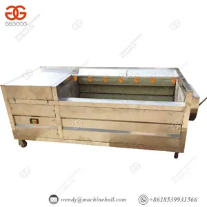 Cassava Ginger Washer Vegetable Potato Washing Equipment thumbnail-3