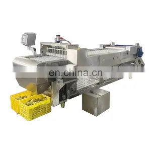 Organic Yellow Peaches In Glass Jars Peeling Machine Peach Processing Machine thumbnail-3