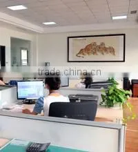Shijiazhuang E-Feeling Import And Export Trading Co., Ltd. company overview - view 1 thumbnail