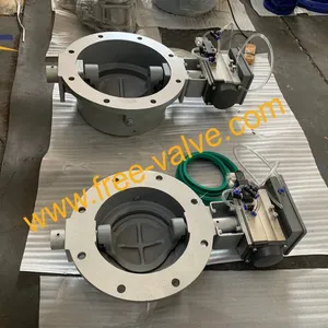 Pneumatic dome valve 01