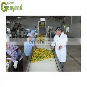 Small Mango Processing Machine thumbnail-1