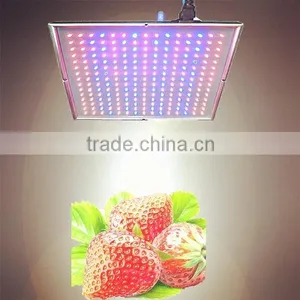 Changeable Color 20W Led Flood Light for Plants Led Grow Light LED thumbnail-1