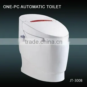 JT300B Bathroom Electronic Toilet thumbnail-1