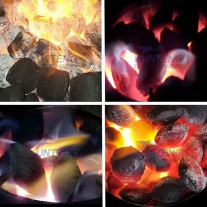 Coconut Shell Wood Charcoal Ball Briquette Machine EPC thumbnail-5