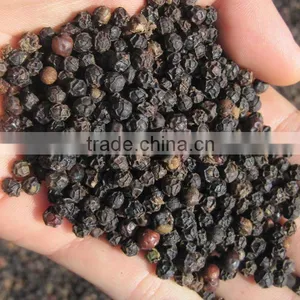 VIETNAM BLACK PEPPER 2016, HIGH QUALITY + COMPETITIVE PRICE thumbnail-6
