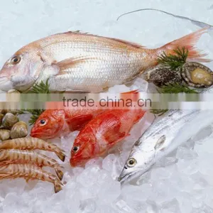 ISO Frozen Meat Container 40ft Reefer Container Price thumbnail-1