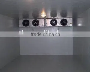 PU Sandwich Panel Fruits/vegetables Cold Room Storage thumbnail-2