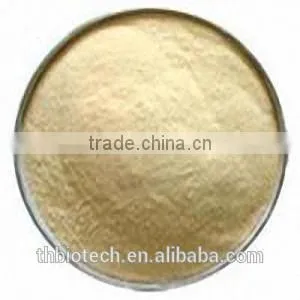 Manufacturer Pure Natural High Quality Garlic Extract, Allicin, Allicin Powder thumbnail-2