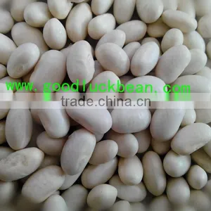High Quality White/Black Pulse Beans thumbnail-6
