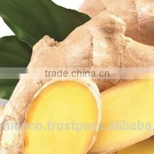 Fresh Ginger thumbnail-4