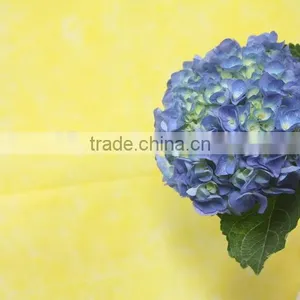 Fresh Factory Direct Flower Hydrangea thumbnail-3
