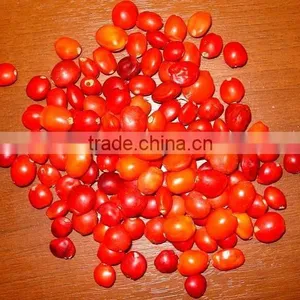 Huayruru Pure Red Natural Loose Seed Beads thumbnail-1