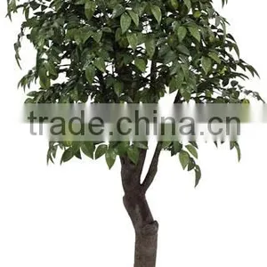 Indoor Home Decorative Artificial Mango Tree thumbnail-2
