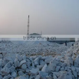 Lump of White Limestone thumbnail-1