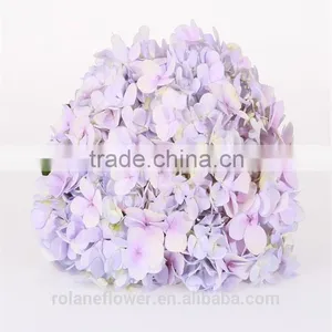 Colorful Hydrangea High Quality Natural White Hydrangea From Yunnan, China thumbnail-4