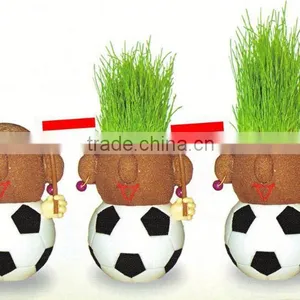 Corporate Gifts Gardening in Pots for Plants Cheap Plant Mini thumbnail-6