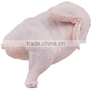 BEST QUALITY FROZEN HALAL BONELESS / SKINLESS CHICKEN BREAST FOR SALE CHEAP AND AFFORDABLE thumbnail-6