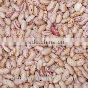 Best Price New Crop Light Speckled Kidney Beans With Good Quality thumbnail-4