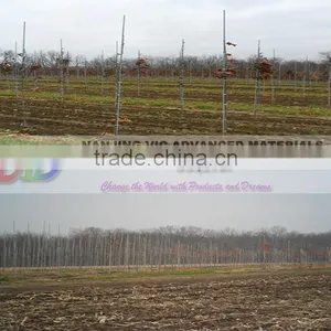 Fiberglass Vine Plant Stakes thumbnail-1
