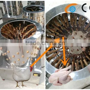 OC-50 Stainless Steel Chicken Quail Plucker Machines for Sale thumbnail-3