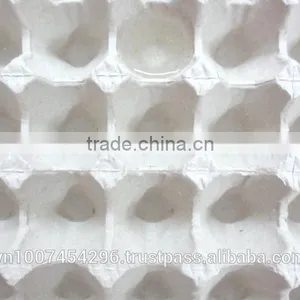 PAPER EGG TRAY thumbnail-2