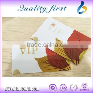 Hot Stamping Gold / Silver Plastic Card thumbnail-2