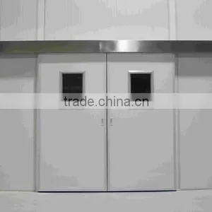 Classical Elegant Cold Room Sliding Door Design thumbnail-1