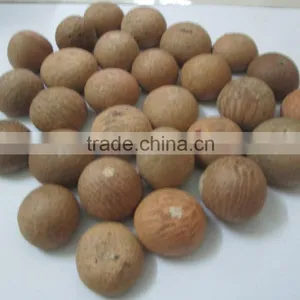 Dried Betel Nut High Quality From Vietnam thumbnail-1