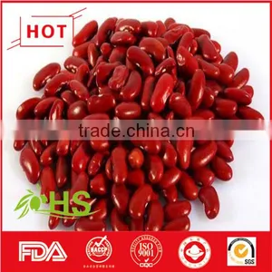 Hot Sale Red Kidney Beans With Great Quality and Price thumbnail-4