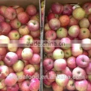 Paper Bagged Qinguan Apple thumbnail-3
