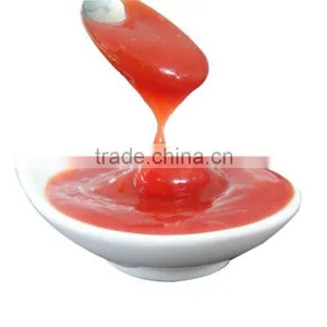 Hot Sell Bottle Tomato Ketchup VEGO Brand thumbnail-1