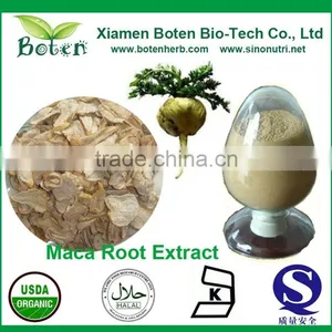 High Quality 40% Macamides Maca Root Extract Powder thumbnail-1