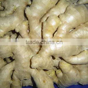 New Crop China Fresh Ginger for Sale thumbnail-2