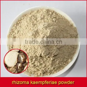 Ground Rhizoma Kaempferiae thumbnail-1