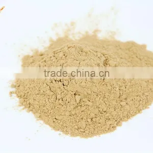 Pure Dried Ginger Powder From China thumbnail-1
