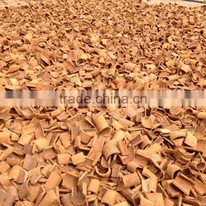 SQUARE CUT CASSIA/CINNAMON KOREA QUALITY STANDARD thumbnail-2
