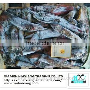 Frozen Fish Bait-squid Price thumbnail-5