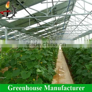 Mulit_span Solar Photovoltaic Cell Greenhouse thumbnail-2