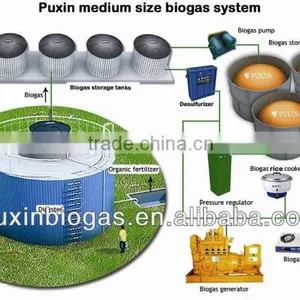 Puxin Medium Size 100m3 Biogas Plants thumbnail-1