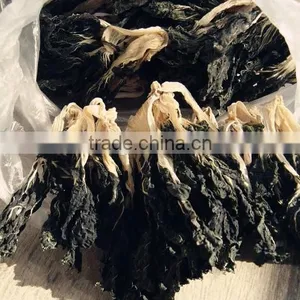 Chinese Commercial Fish Trap Net, Fish Cage Trap thumbnail-4