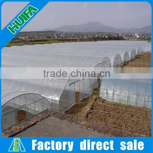 Agriculture Used Polycarbonate Tunnel Greenhouse Kits for Sale thumbnail-3