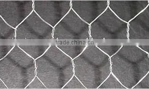 Hexagonal Wire Mesh/ Gabion Mesh /Gabion Baskets thumbnail-1