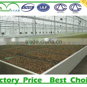 Hydroponic System for Agriculture Greenhouse thumbnail-3