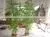 CHY030928 Landscaping Decoration Bamboo Pole/ Plastic Bamboo Stick/artificial Bamboo Plant thumbnail-2